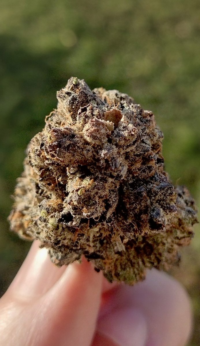Good morning, everyone ✌️🤙
The moment you know, it's going to be a good day 🎄💨
