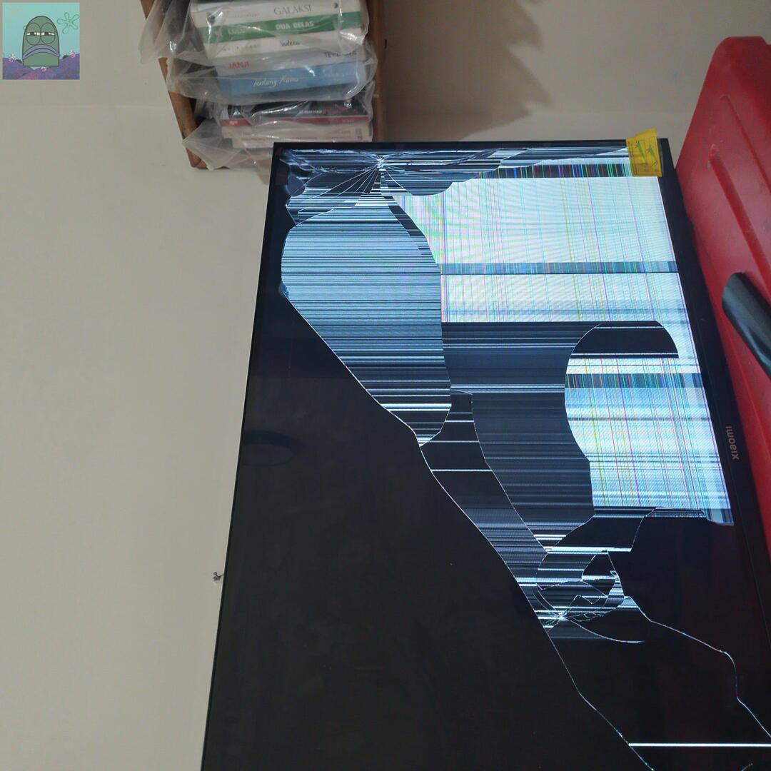 Tanyarl 💚 tweet media