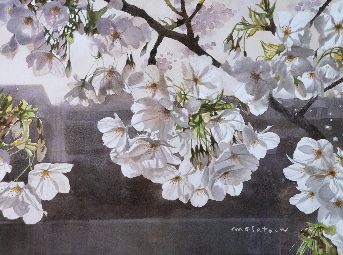 水彩画　春光 mieko-watanabe_mieko-watanabe0001