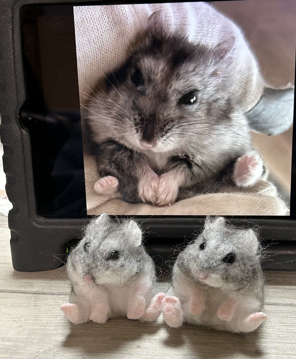 むうたん🐹🌈の羊毛フェルト､途中経過です✨ 同じポーズで2体作ってい