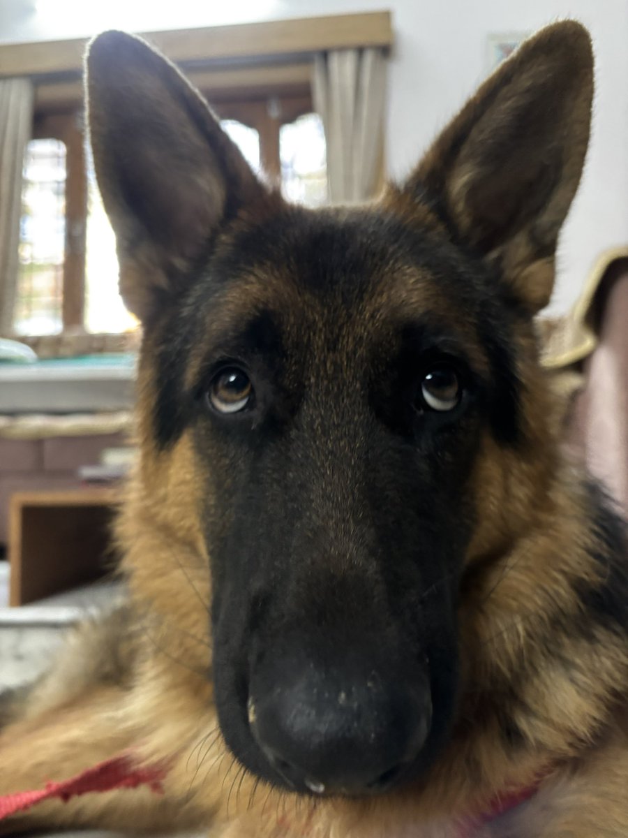 Manmohan Hunjan 🧑‍💻⚛️ tweet media