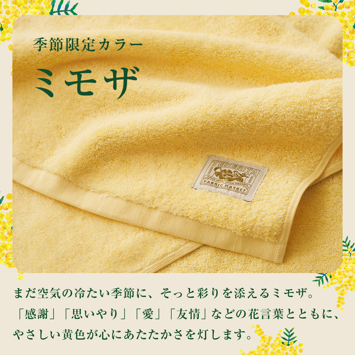 🌟本日発売🌟 季節限定カラー「ミモザ」が登場です🏵️ タオルや