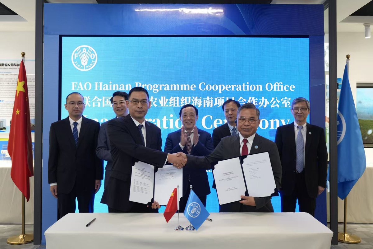 FAODG's tweet image. Delighted to inaugurate the @FAO–Hainan Programme Cooperation Office with our partners in China. This new platform strengthens science, #AgInnovation &amp;amp; #SouthSouthCooperation in tropical agriculture, linking local solutions to food security &amp;amp; resilient agrifood systems. #4Betters