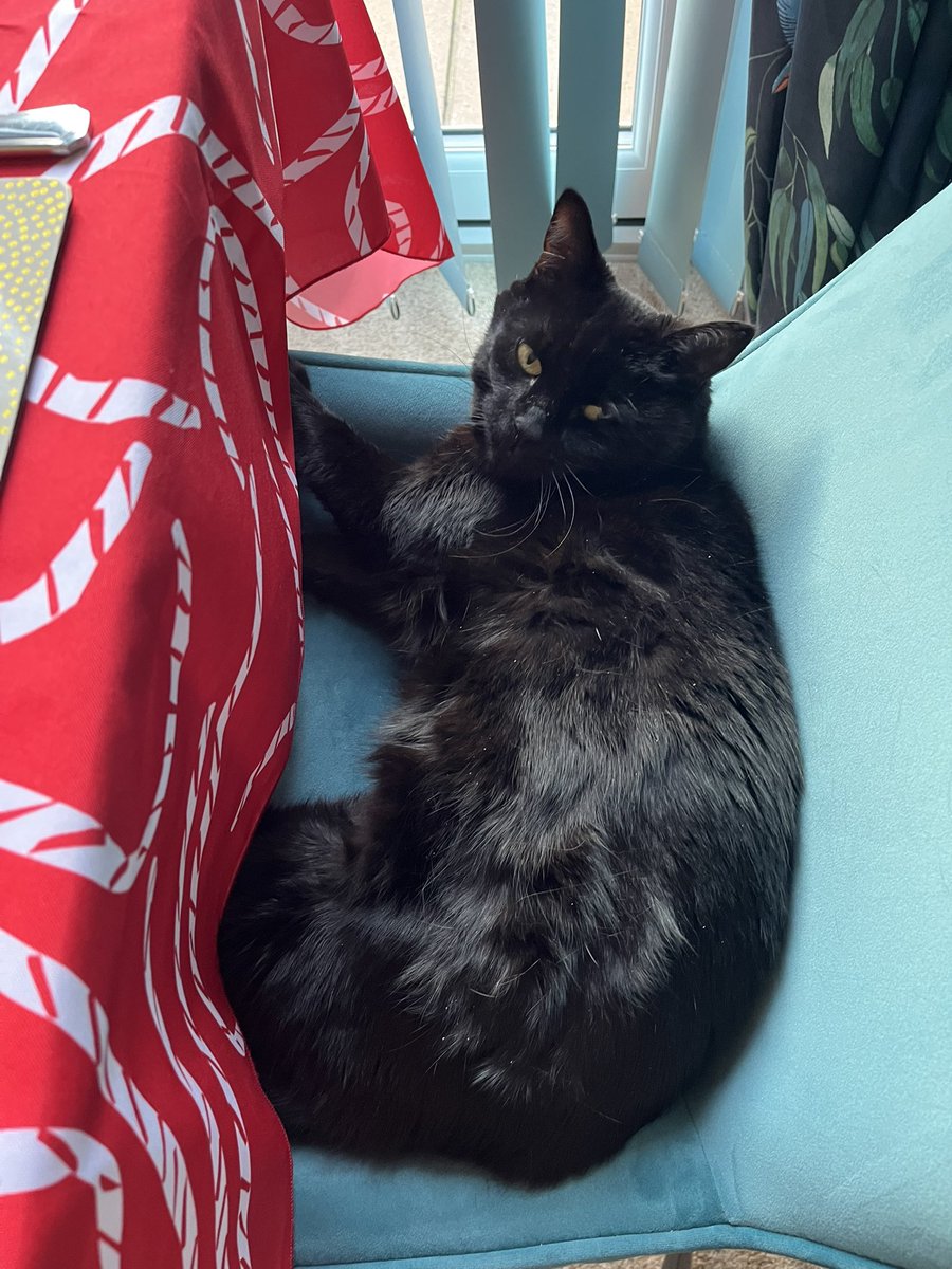 matt 🤠 tweet media