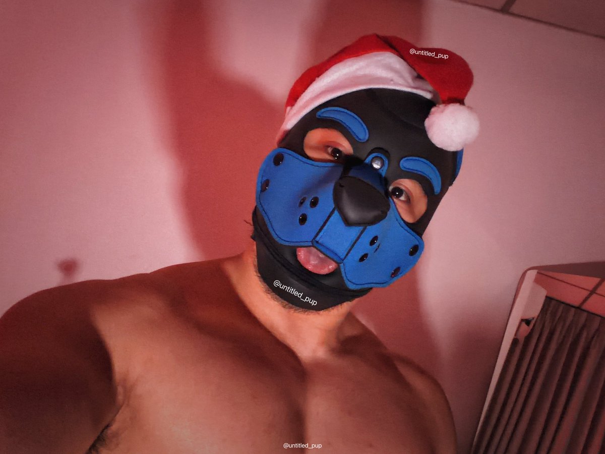 untitled.pup tweet media