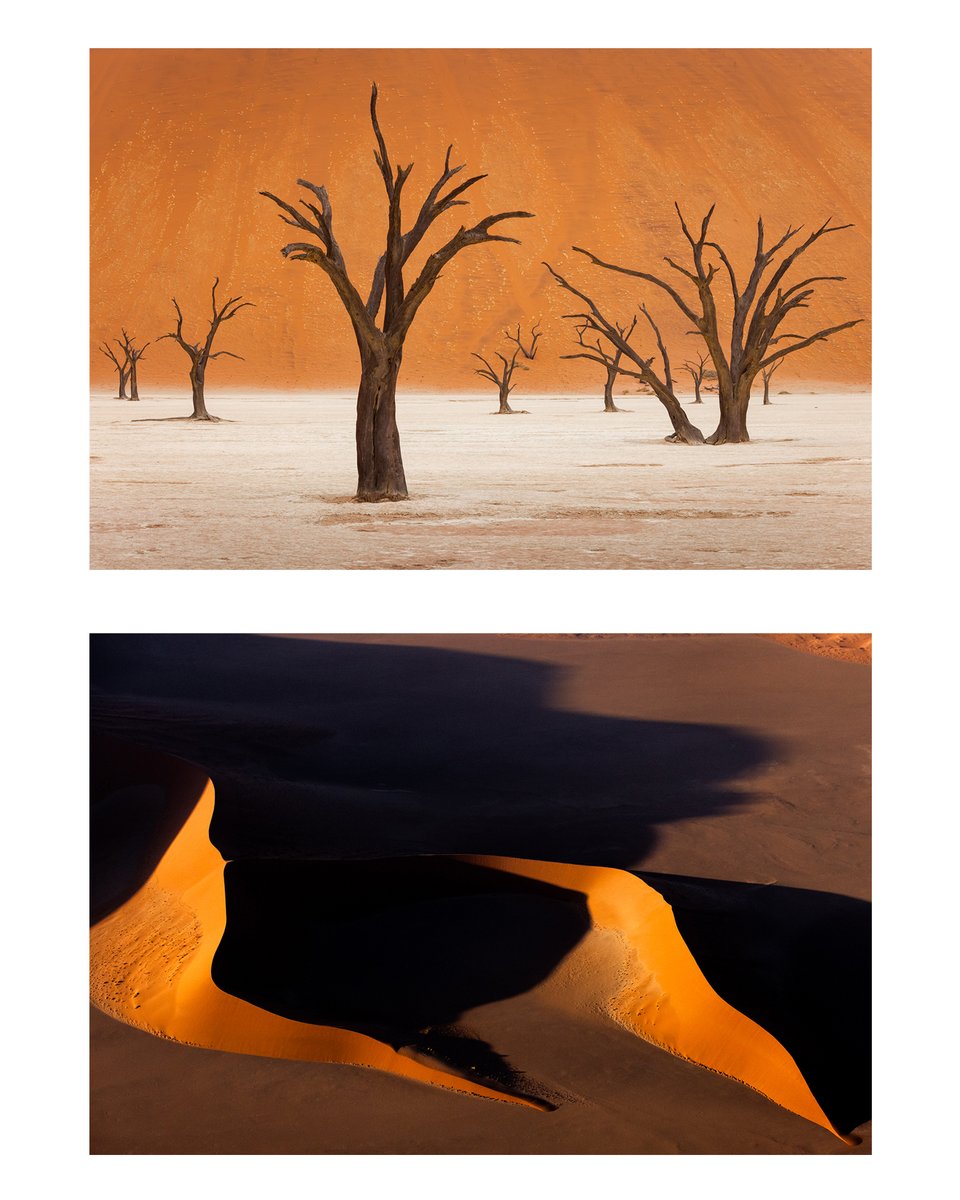 alexetchloebes's tweet photo. La nature sublime de la Namibie 🌴

Au cœur d’un environnement aride, la faune et les paysages se mêlent pour créer de véritables tableaux uniques 🏜️

Quelle est ta photo préférée ? https://t.co/70hP4cWkgW
