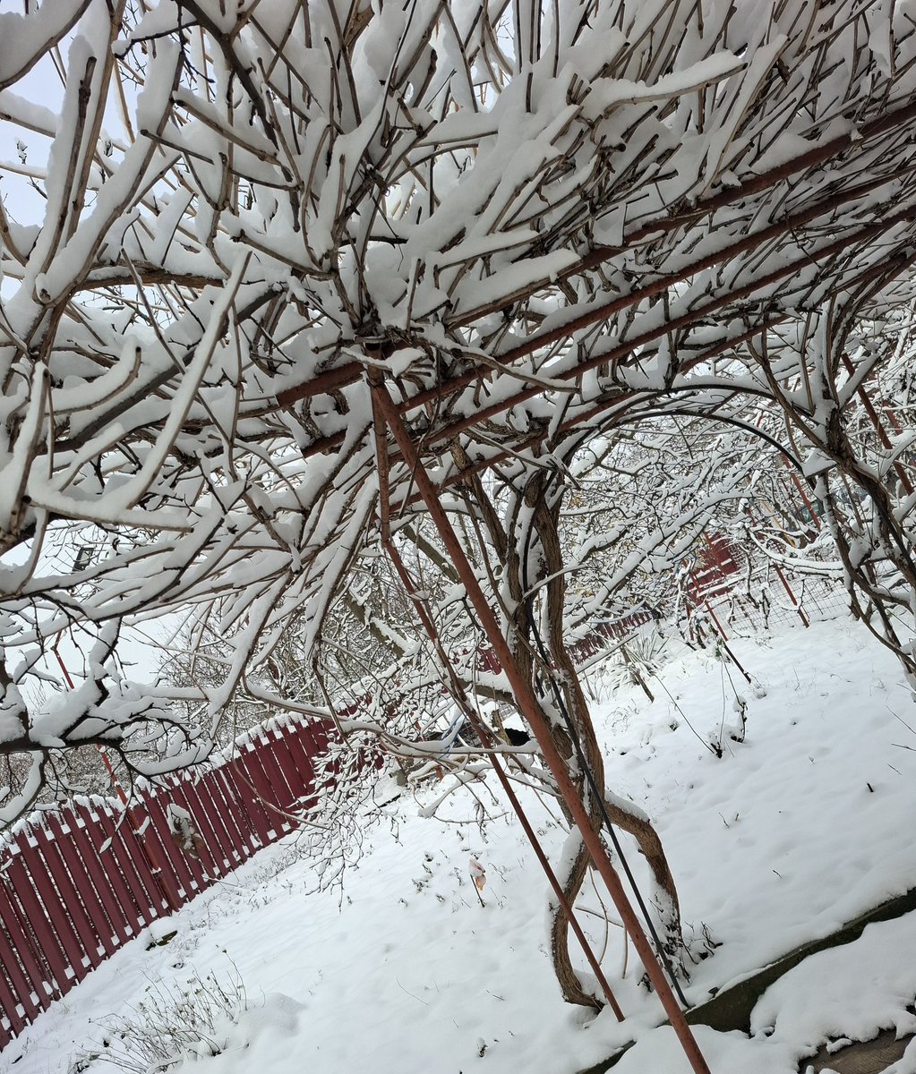 TapardeaA's tweet photo. #christmassnow https://t.co/9keiPHCYSV