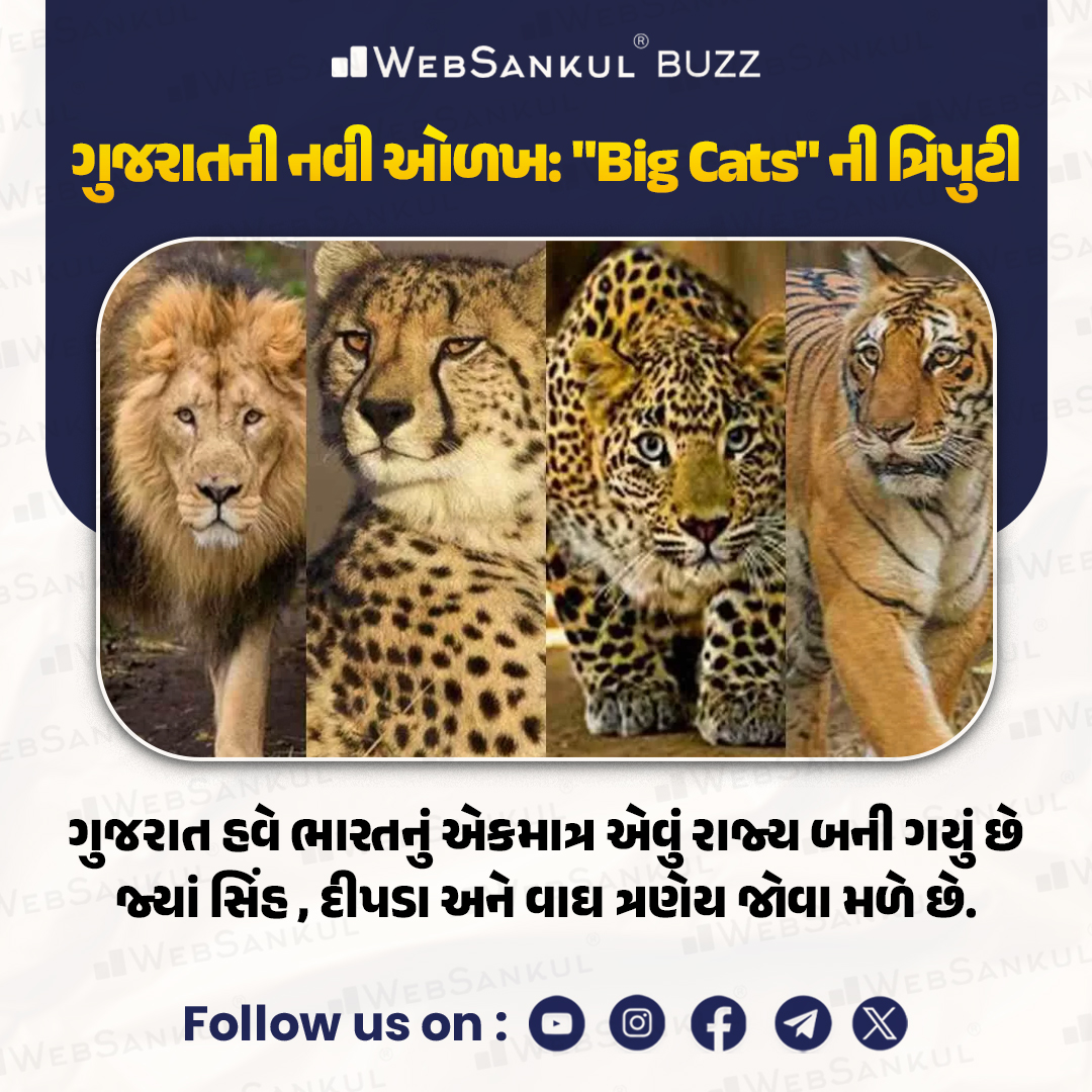 ગુજરાતની નવી ઓળખ : "Big Cats"ની ત્રિપુટી