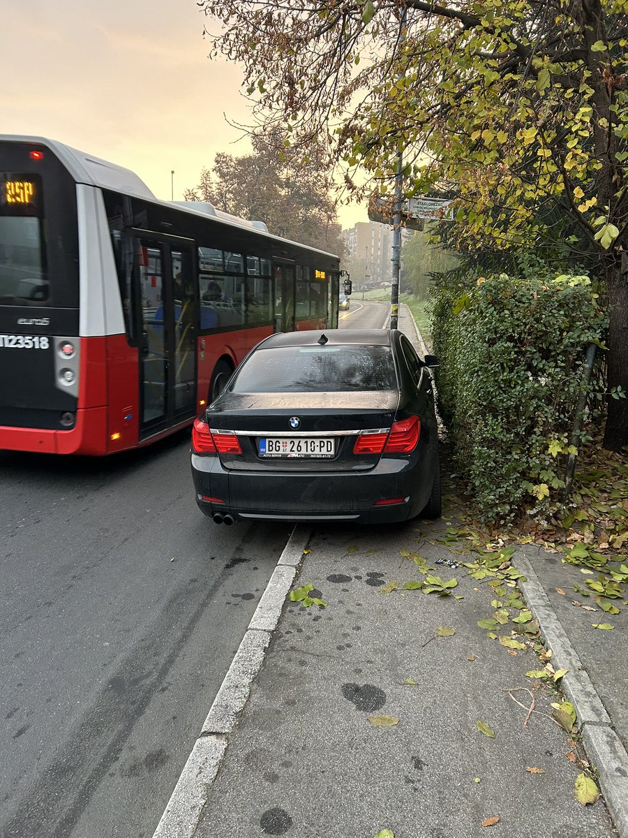 Nikola Milosevic tweet media