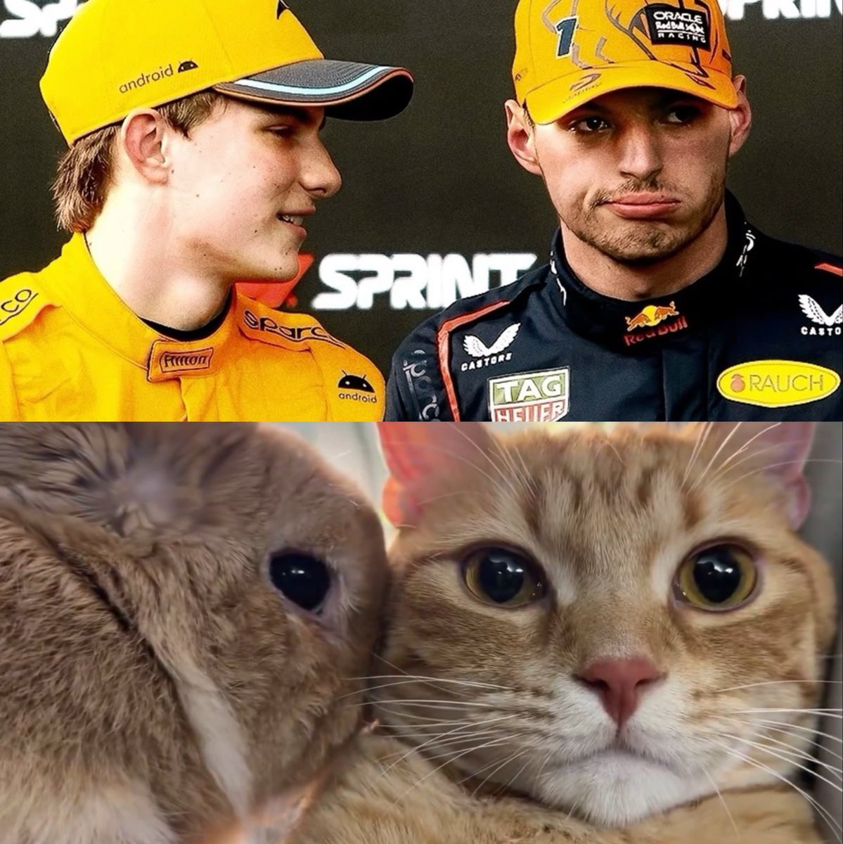 LACIE THE KIND🦂 tweet media