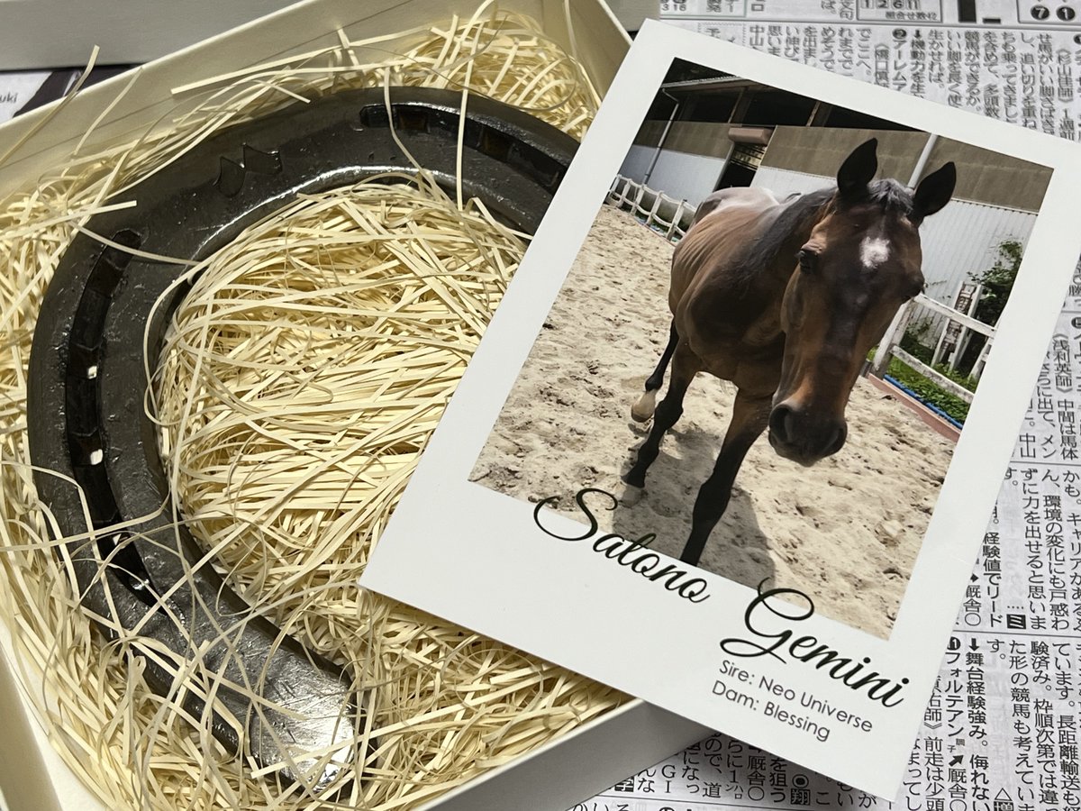 ISSY【PD】 (@pd_issy) / Posts / X