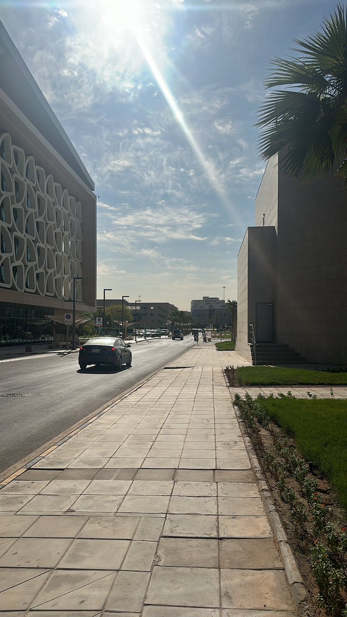 Malak🌿. tweet media