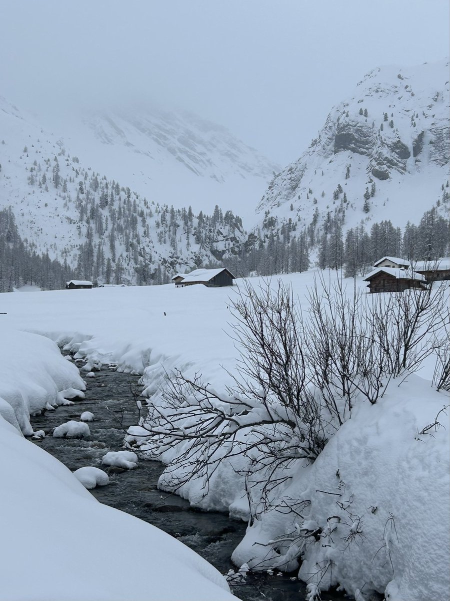 Portmann Carrick tweet media