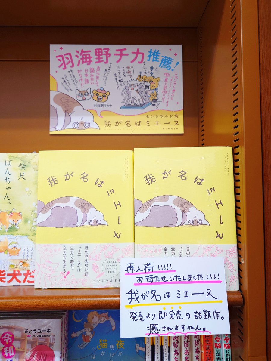 我が名はミエーヌ』12/5発売🔔特典情報は固定ポストに (@waganahamienu