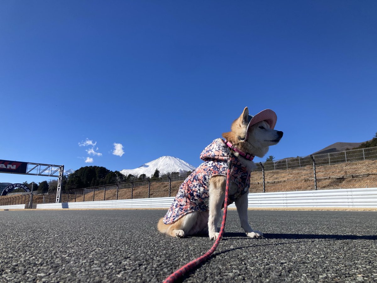 たかぴい たかぴい たかぴい タカぴー (@takapi_3) / X