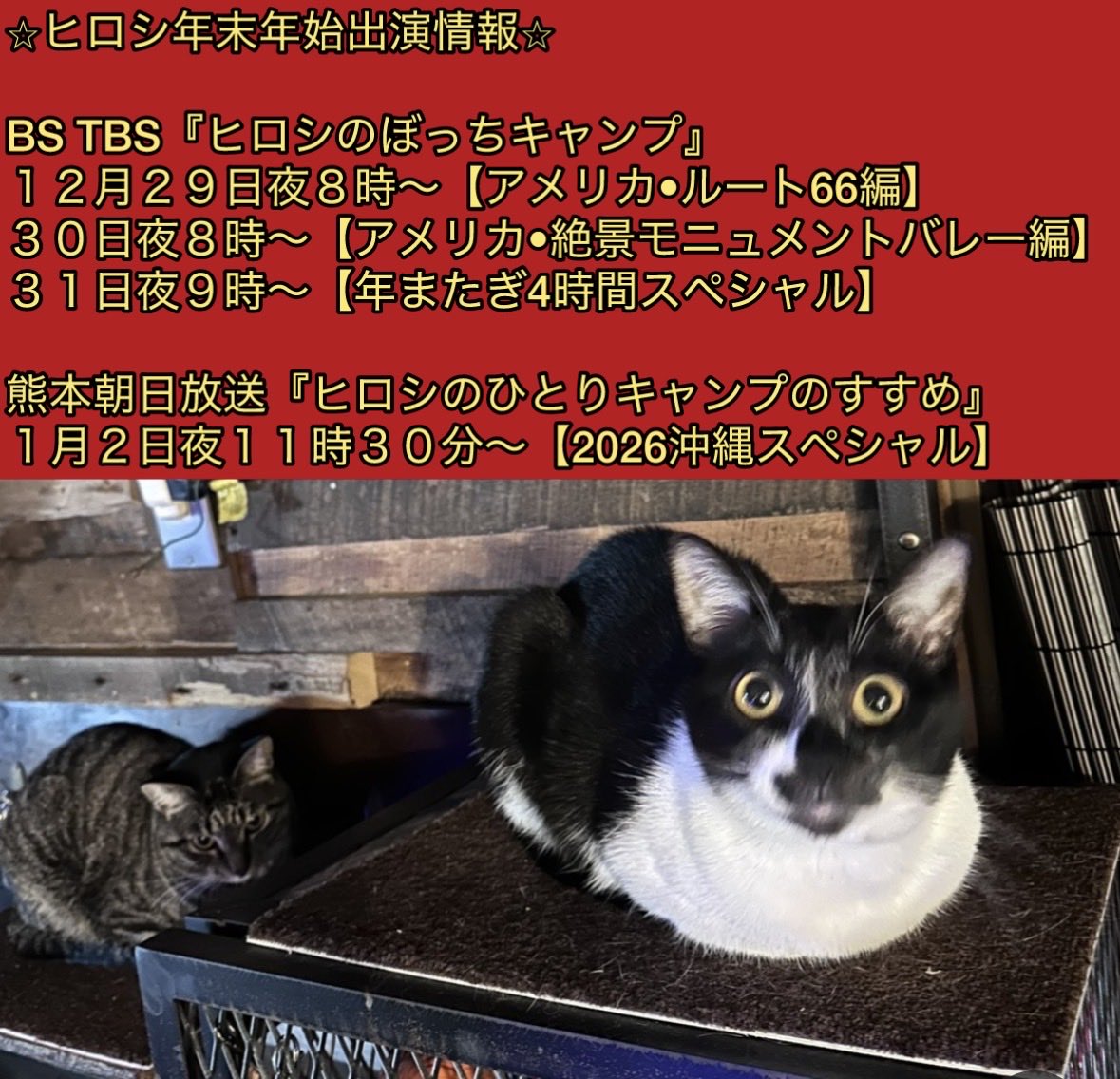 ヒロシ Mizuno JPX 925 Hot Metal HL Irons 2024 - Dallas Golf Company