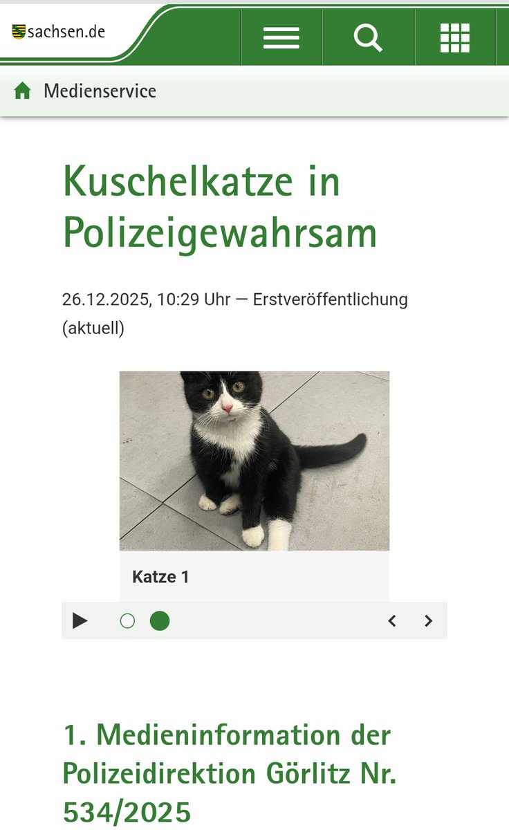 zieglercloud's tweet photo. 🎄Die einzige Art von Polizeimeldung, die ich an Weihnachten lesen will https://t.co/fCfWSHGilw
