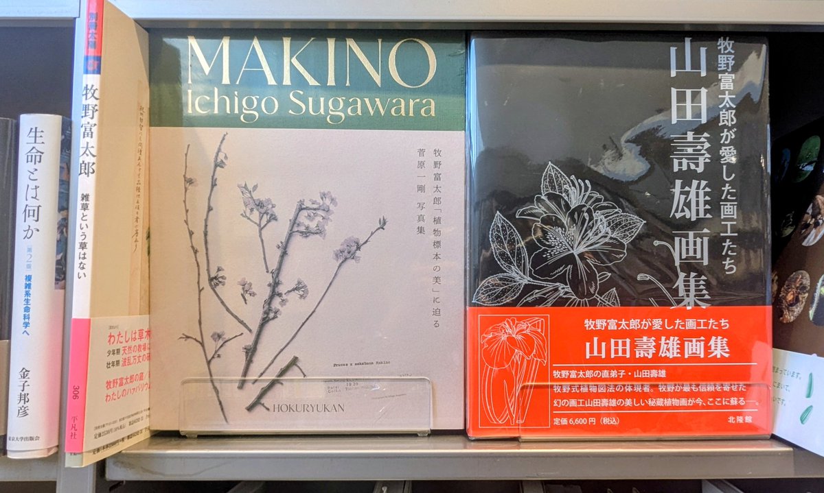 北隆館｜営業部 『牧野植物図鑑』100周年！！フェア開催中