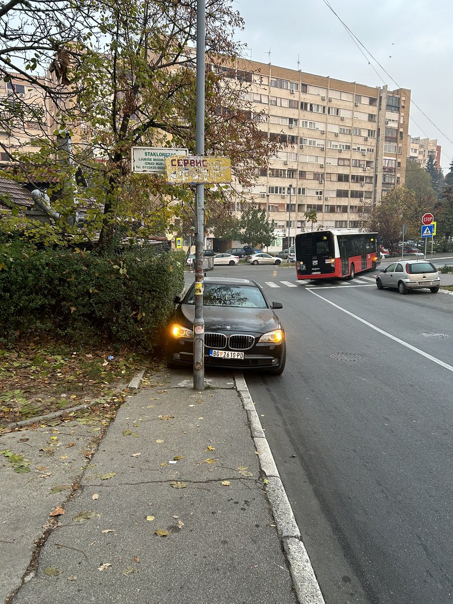 Nikola Milosevic tweet media