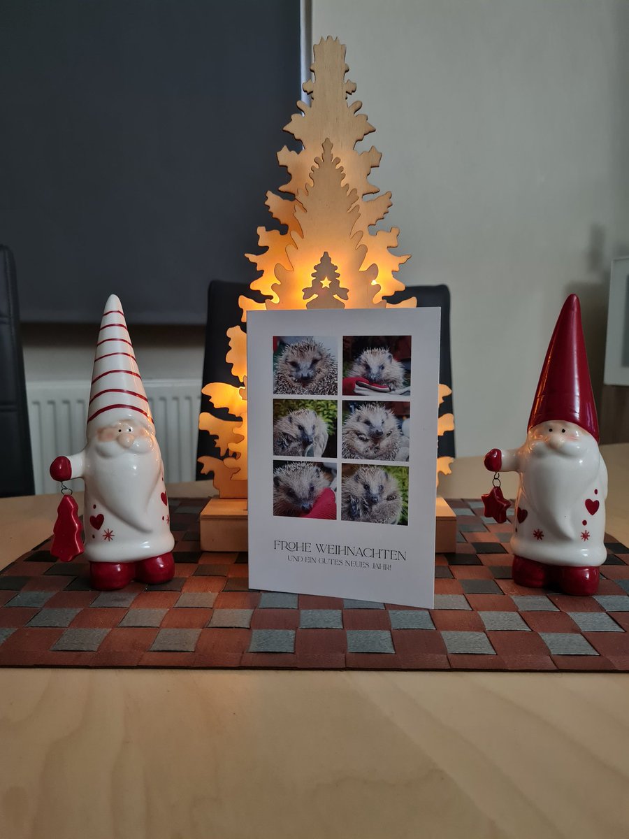 BrenaLilly's tweet image. Vielen lieben Dank für die schöne Igelkarte @PeGr1969 Wir haben uns sehr darüber gefreut❣️Vor allem darüber, dass auch ein Foto deiner beiden Süßnasen in der Karte abgebildet ist. Vielen Dank dafür!