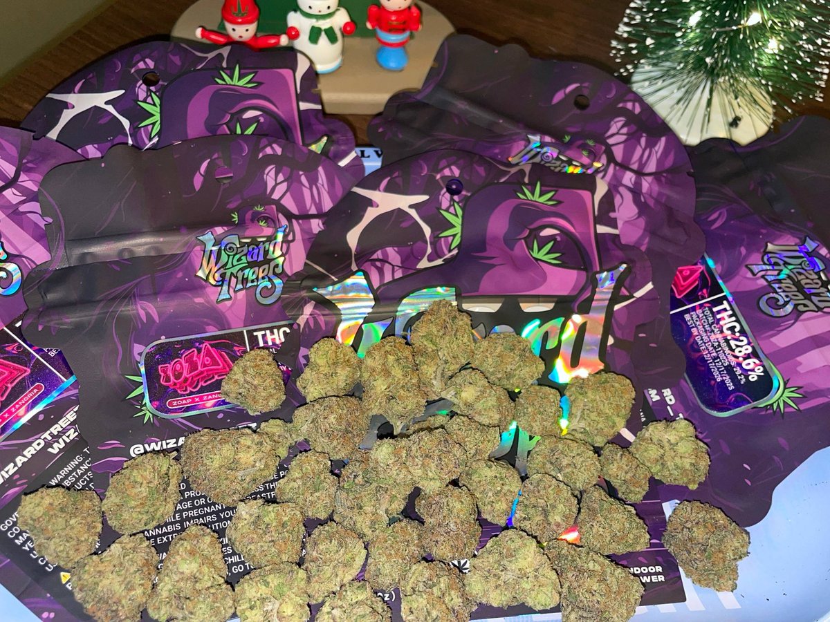 CannabisXThai's tweet image. ✨ Zoza — @wizard_trees 
Refined character with a calm, confident presence.
Balanced, well-composed, and finished with the detail Wizard Trees is known for.

#Zoza #WizardTrees #PremiumCulture