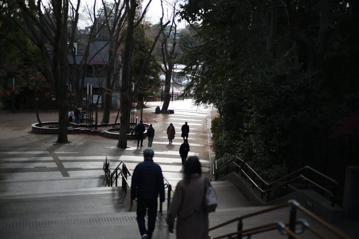 HueBrener's tweet photo. 井の頭公園
明日から当面SNSはお休みします
よろしくお願いします
#LEICA_M10P
#Leica #Leicam10p
#SummiluxM50mmF14ASPH https://t.co/u68Ry4SluN
