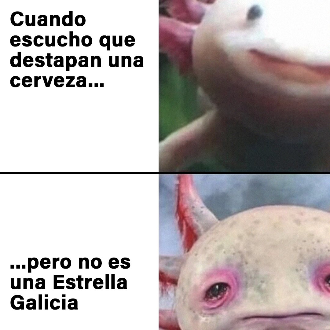 estrellagalicia's tweet photo. Triste realidad. https://t.co/akzKdzO5MX