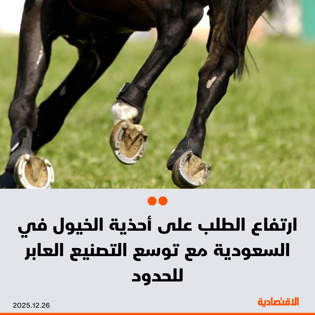 تشهد السعودية زيادة في الطلب على أحذية الخيول ما يعكس التوسع في التصنيع ونمو الاهتمام بالفروسية في المملكة، وزيادة المرابط والأندية وسباقات الخيل، وبحسب ما ذكره لـ"الاقتصادية" الرئيس التنفيذي لشركة ميدان السرعة طلاع الظفيري، فإن مبيعات الشركة سنويا تتجاوز 4 ملايين ريال 

-