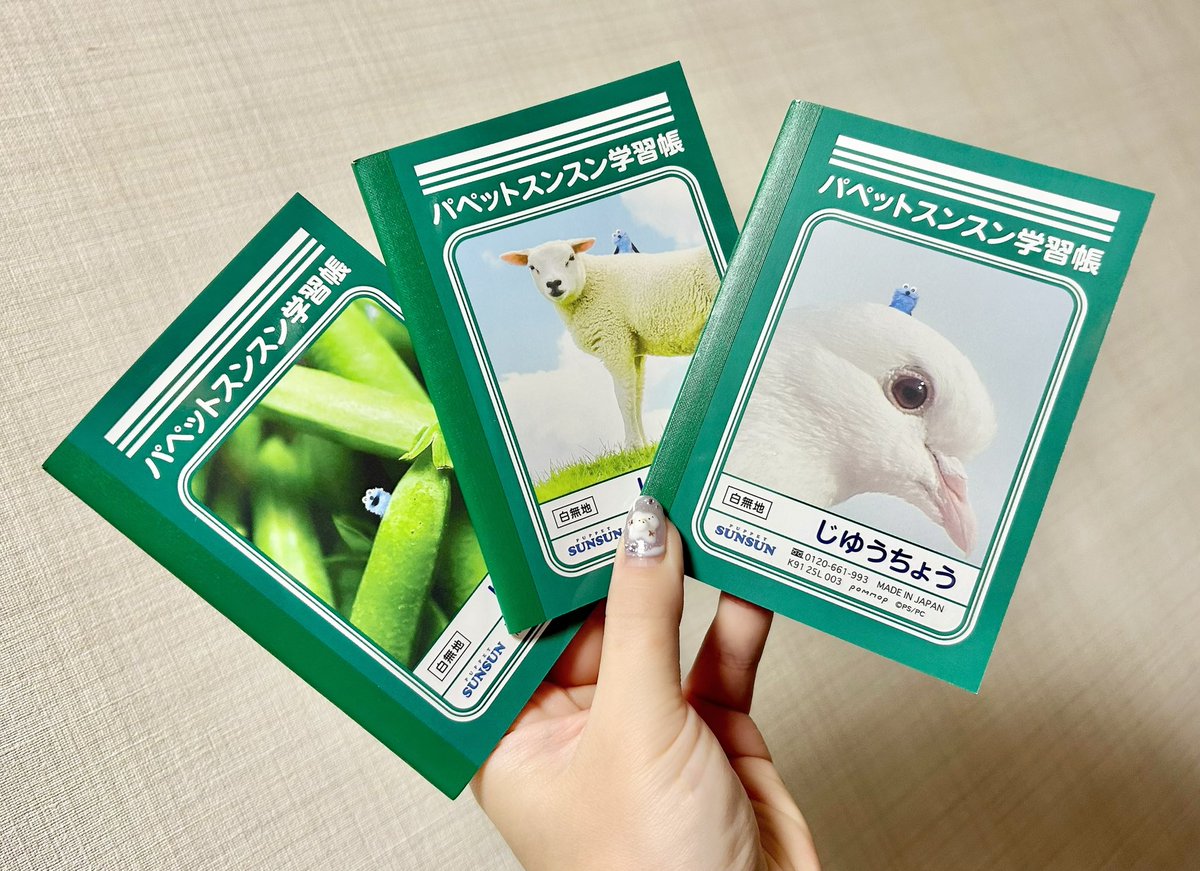 個人的にめちゃくちゃ刺さったグッズ、スンスン学習帳📖