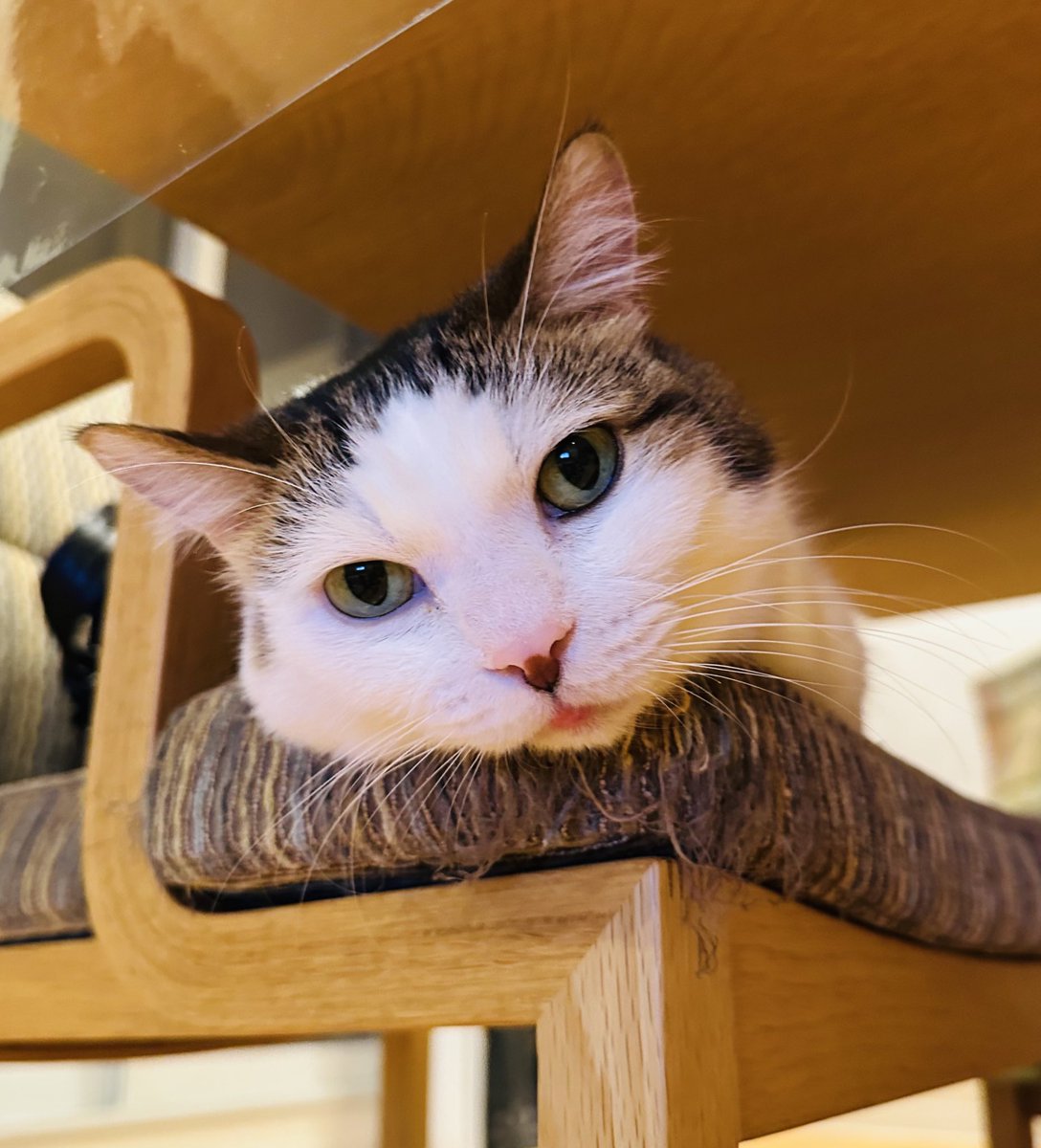 hiromussyi's tweet image. いっきに冷え込んで路面ツルツル

ゆ〜っくり動き出してもおしり振るのよ

みなさん運転気をつけてね