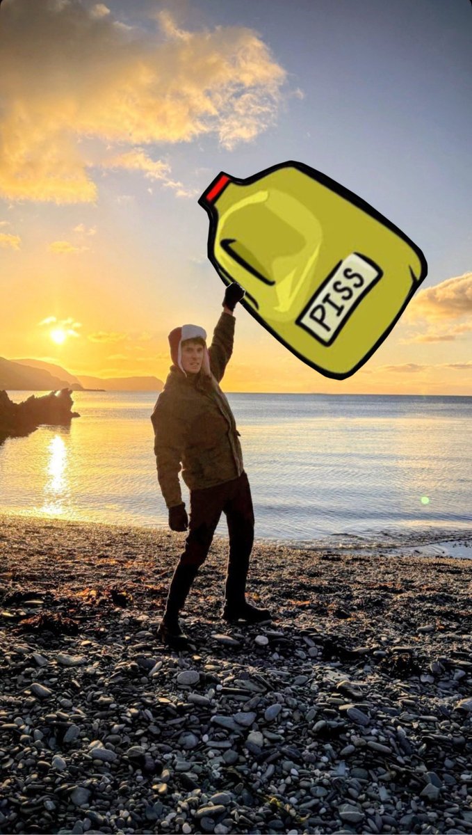 moonage_louis's tweet image. I am sO sorry