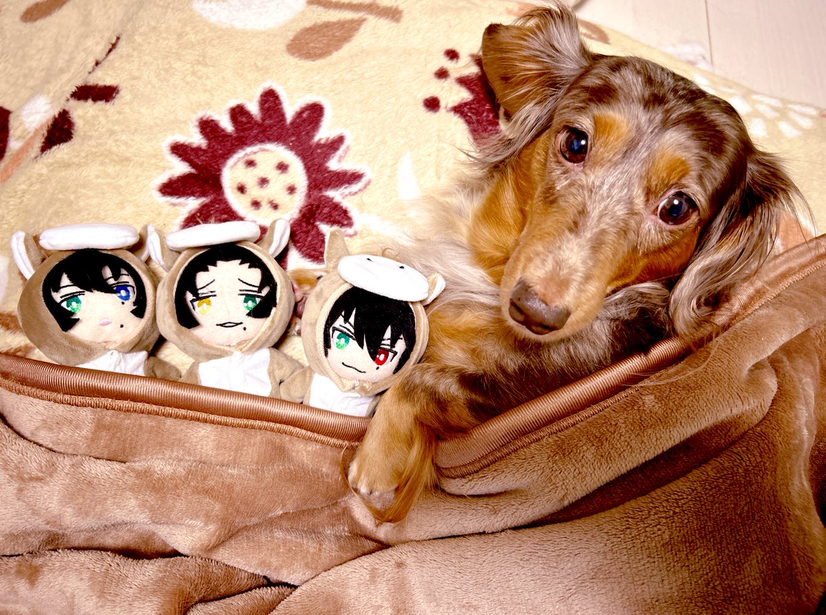 4月14日　ラテ♡モカ The Coffee CO.】全2種［60ml］コーヒー × モカ × ラテ ｜BEYOND VAPE