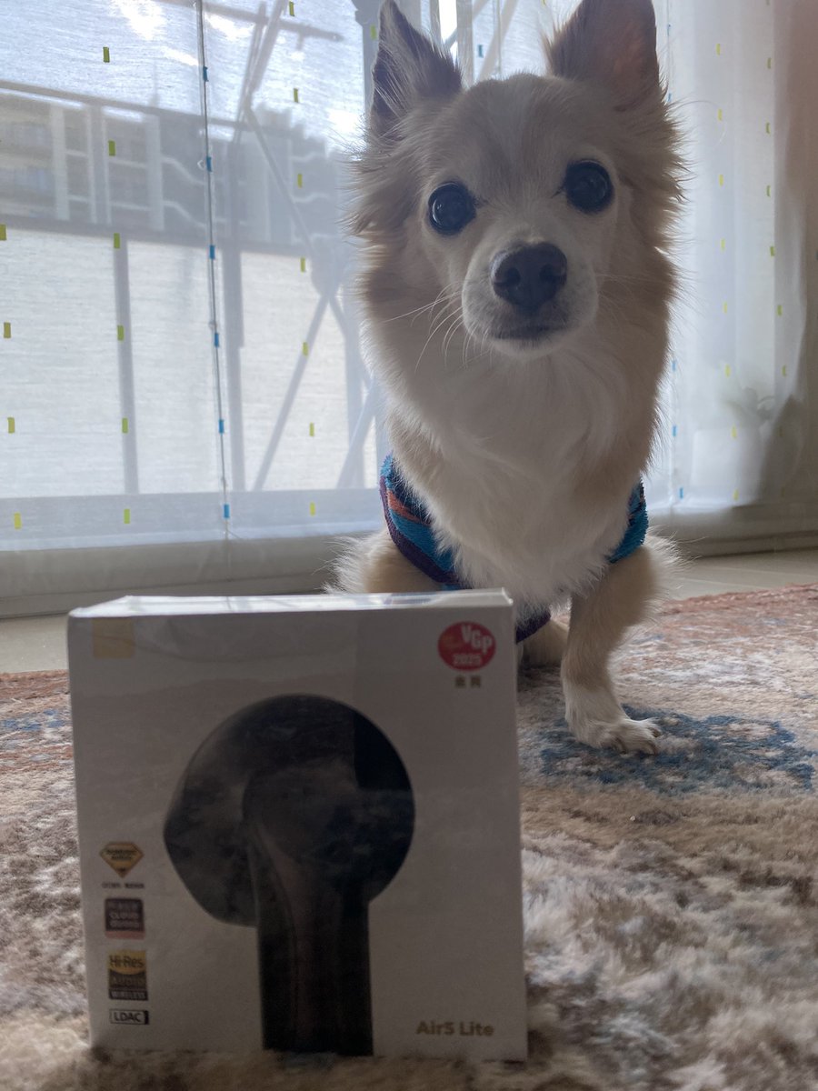 しんべえᖛ ̫ ᖛ tweet media