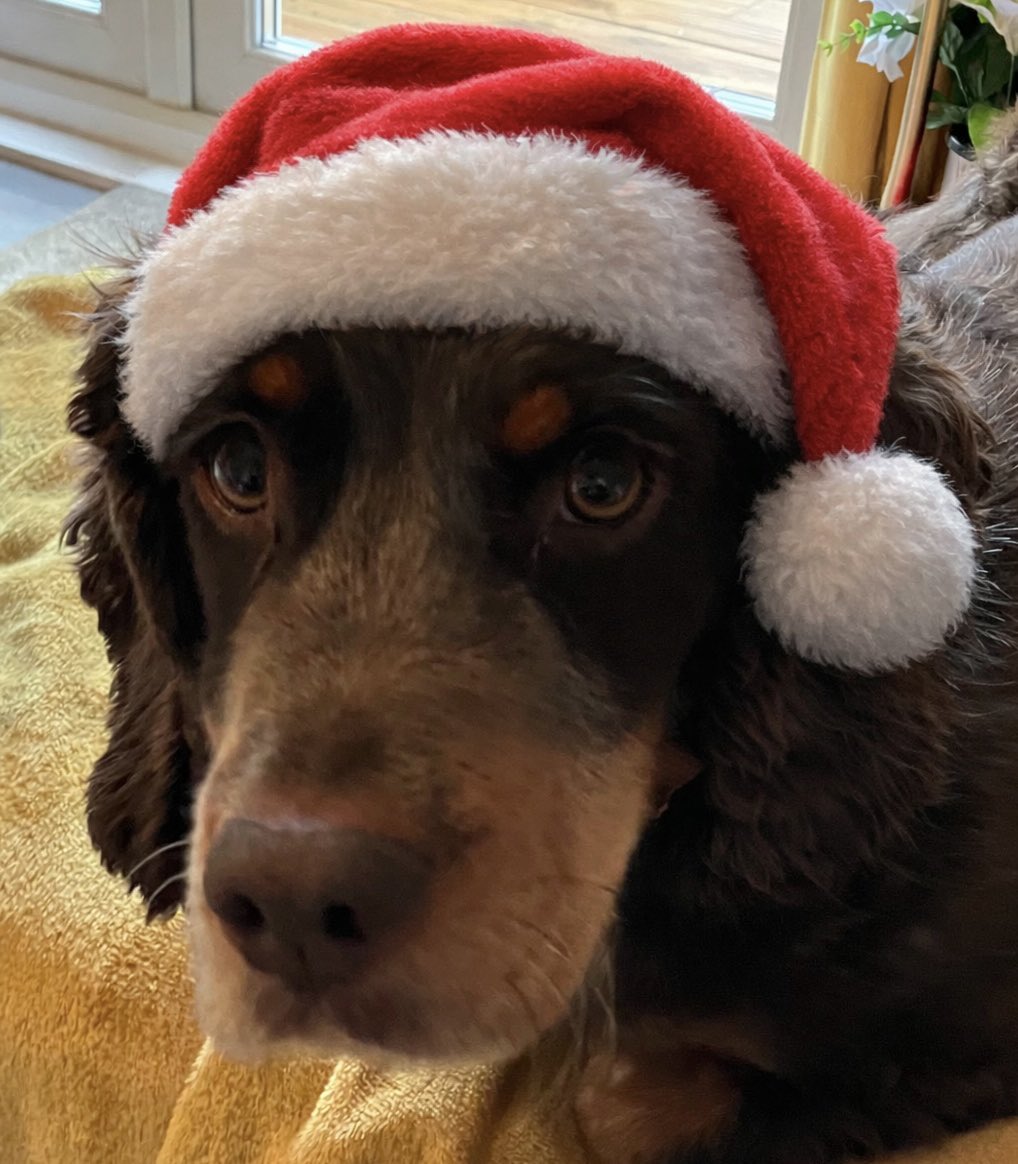 Shona Wallace tweet media