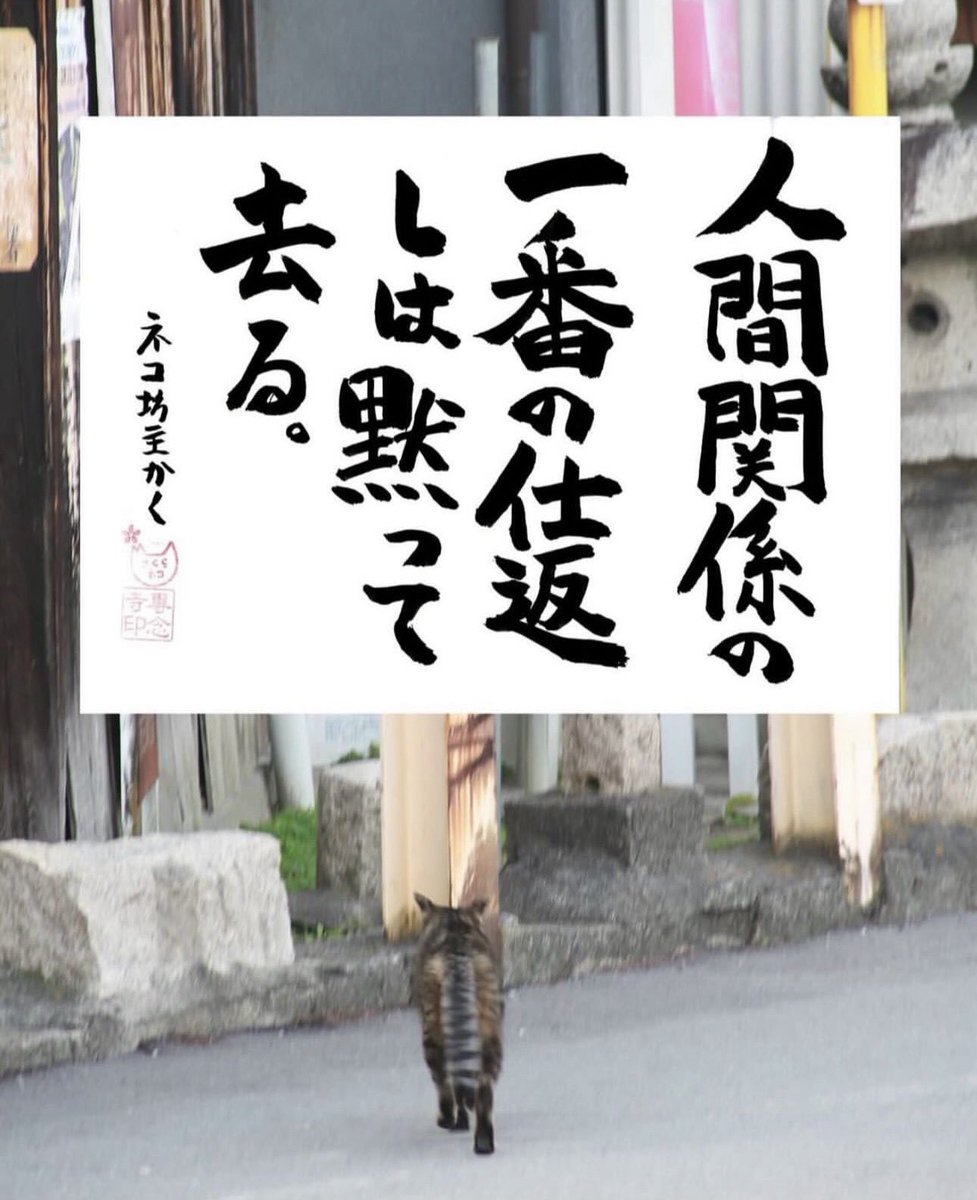 yabumoto610's tweet photo. ネコさんから人間さんへ今日の一言 https://t.co/CR0CGML5Pj