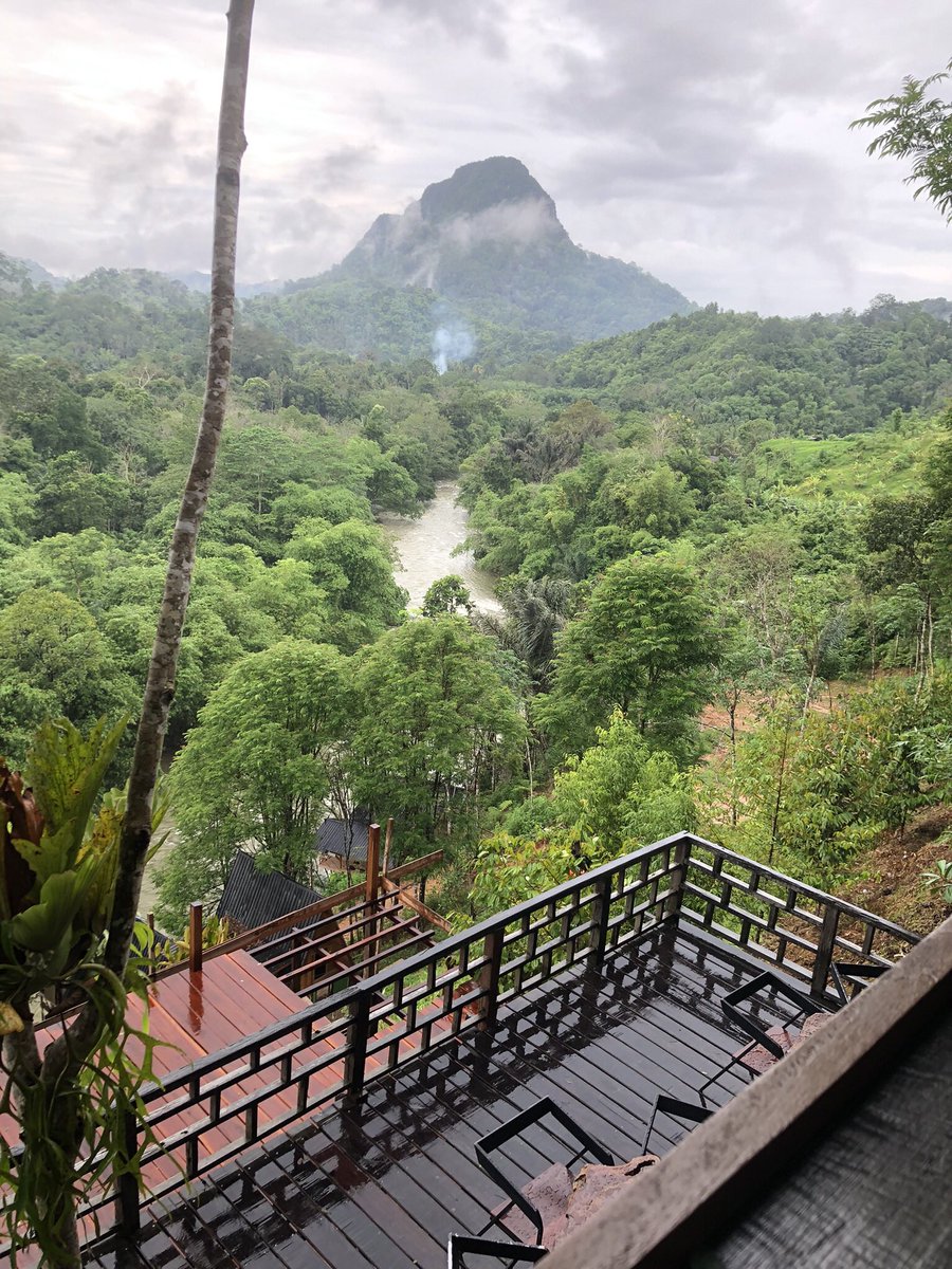 luckknut's tweet image. 