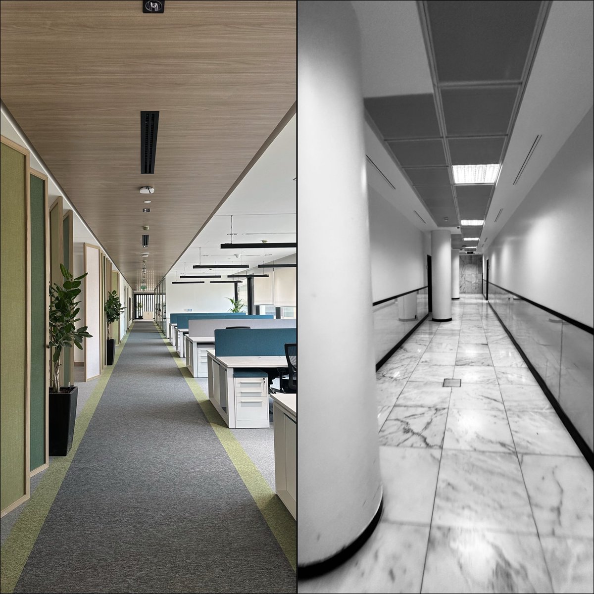 م. محمد الحمدان tweet media