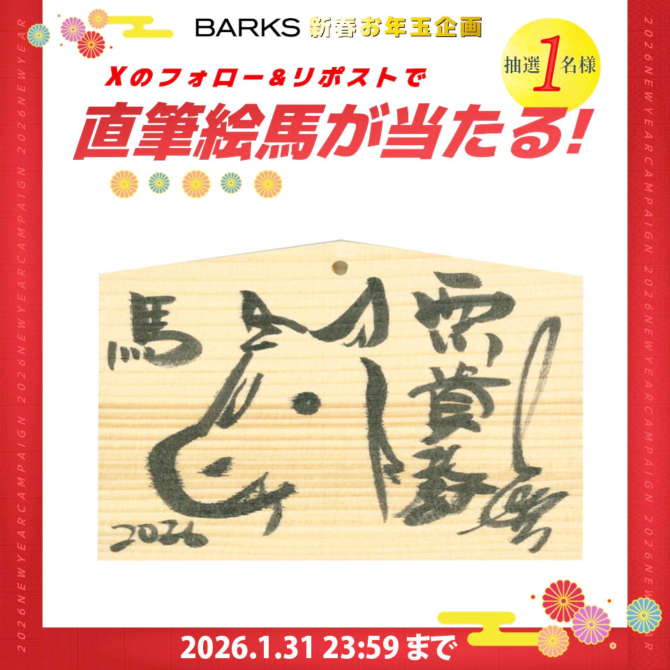 こんなかわいい馬のイラストが書いているだけでも縁起がいいのに、お