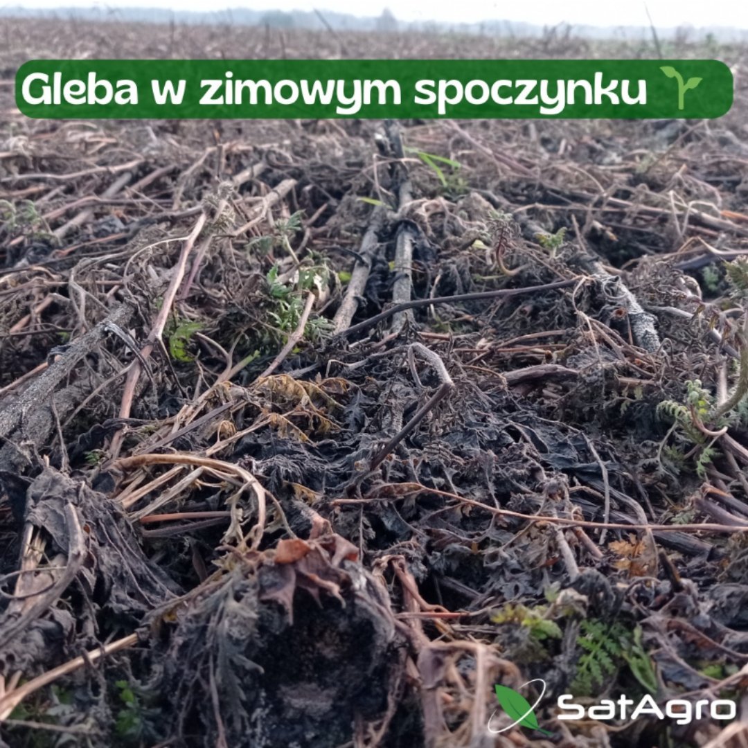 SatAgro tweet media