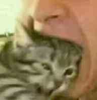 我有焦虑回避型依恋
因为怕烦到别人从来不主动找人聊天，但是你要是对我稍微冷淡几天就一哭二闹三上吊