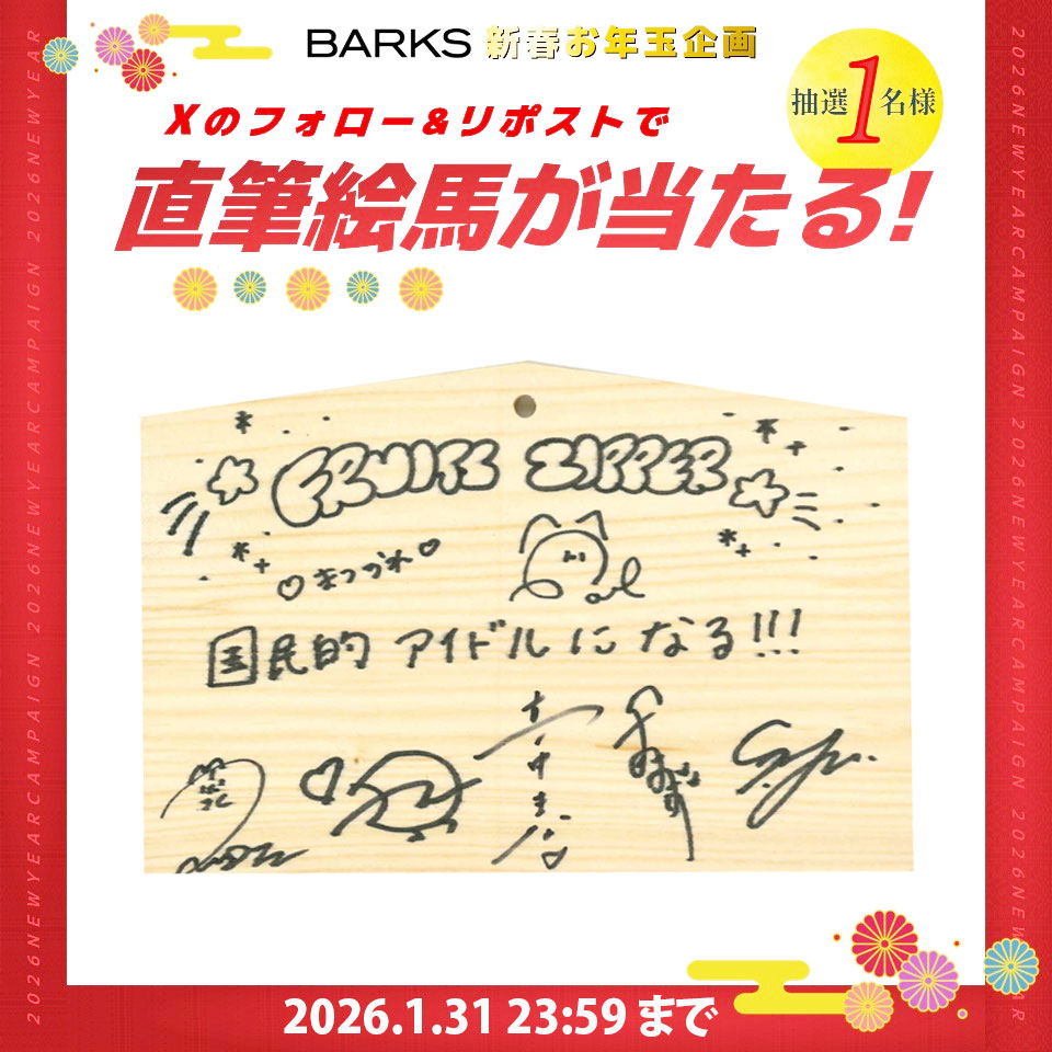 さきぴよ(ぴよぴ)🐤🥜 (@fz_piyopi) / Posts / X