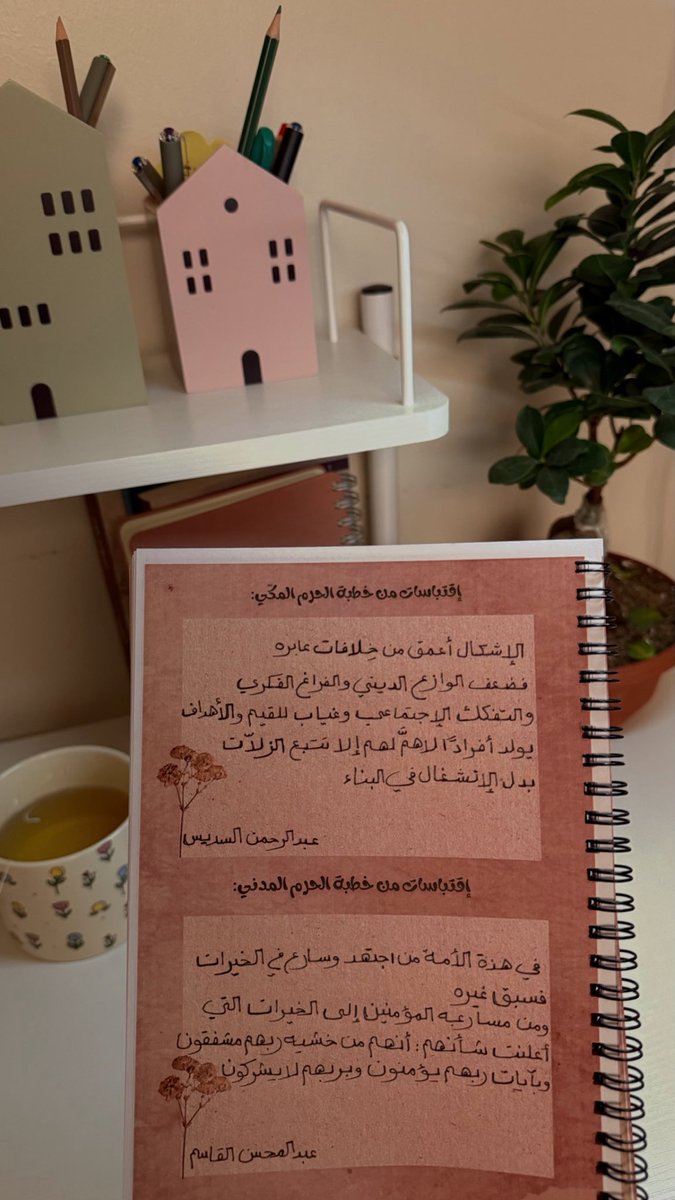 آمال🪴🌱. tweet media
