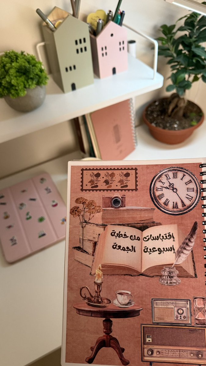 آمال🪴🌱. tweet media