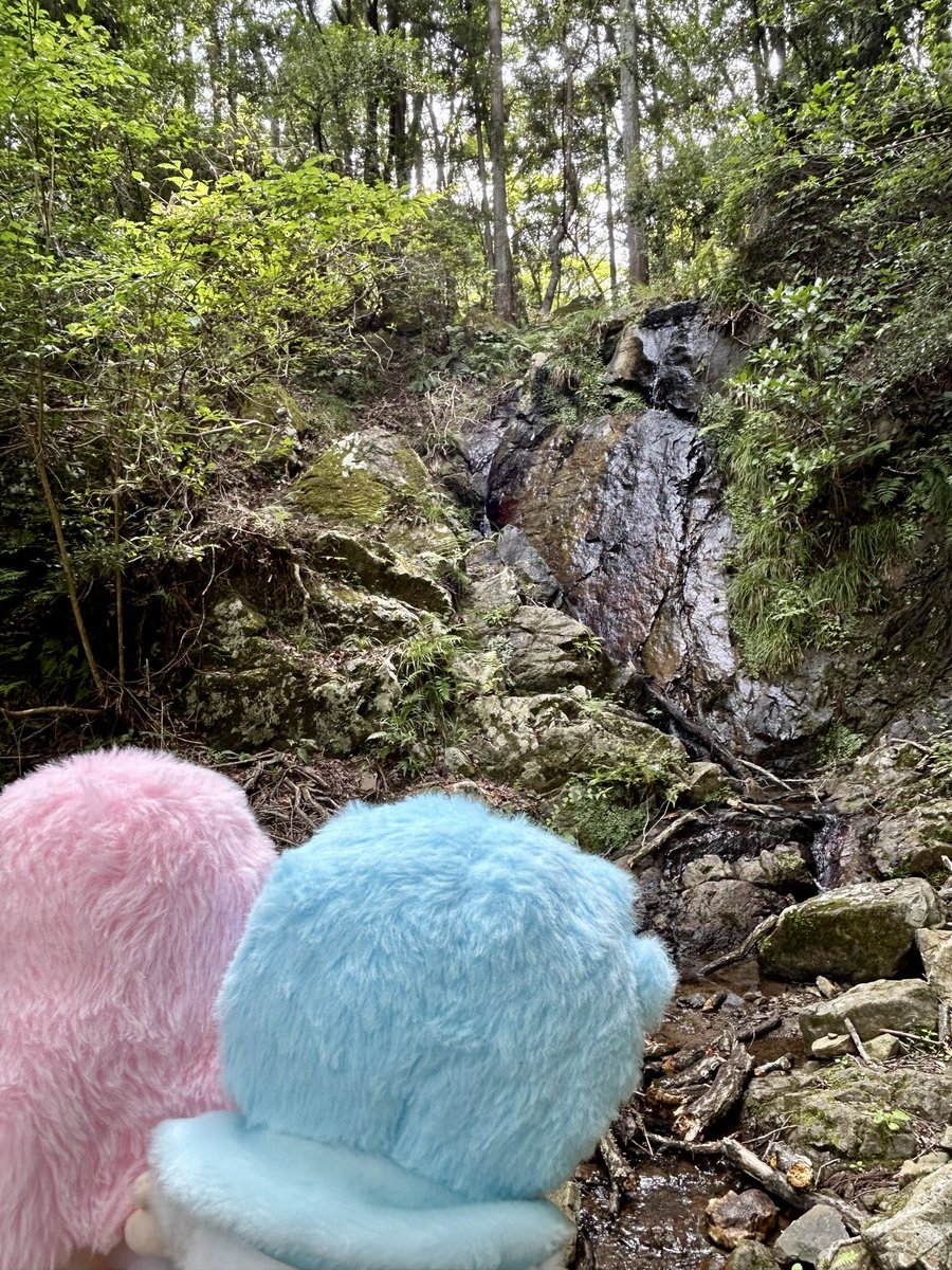 今年の思い出の振り返り…☆ 8/16はキキララちゃんと小木津山自然公園に