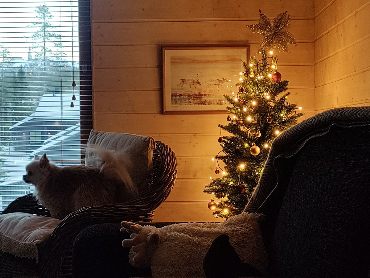 Picu päivystää ja ilmoittaa kaikki kinkunsulattelijat <a href="/rukaskiresort/">Ruka Ski Resort</a>