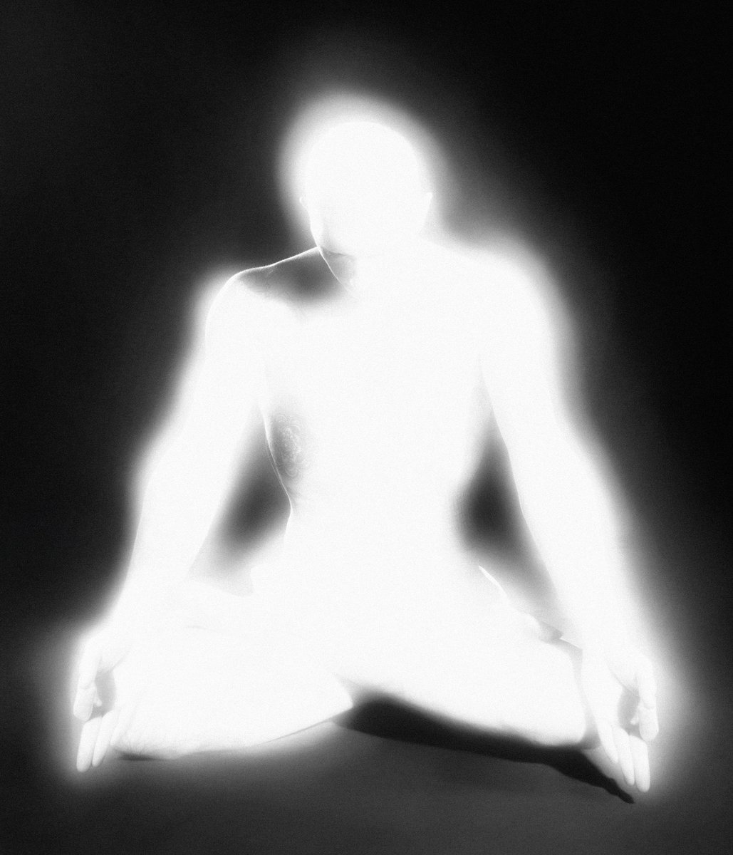 dasha zhuk tweet media