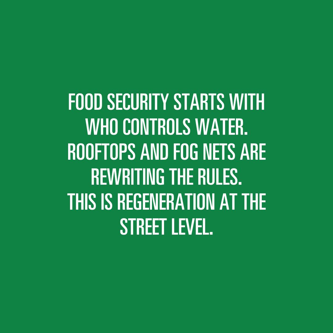 foodtank's tweet image. Food security starts with who controls water.

In Lima, community-led solutions featured in Food Tank’s Food 2050 film series show how access to water unlocks food, dignity, and resilience through fog nets and rooftop gardens. These stories are part of the upcoming feature film…