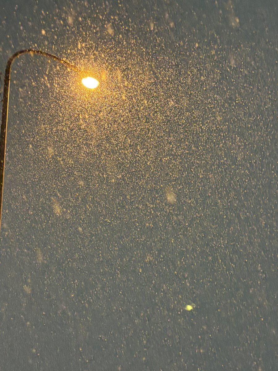 PungePSO2's tweet image. めっちゃ雪！