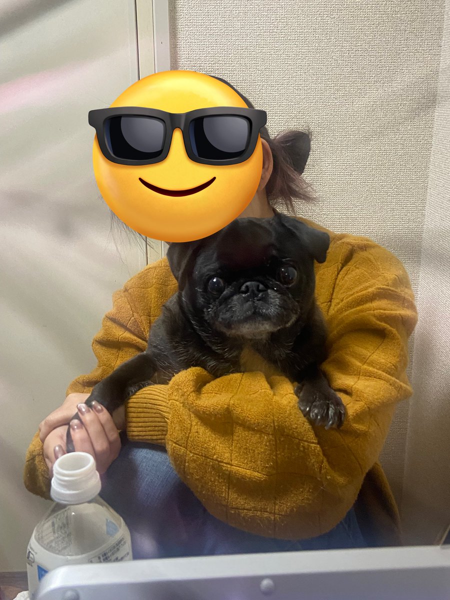 パグとおっさん (@pugtoossan) / Posts / X