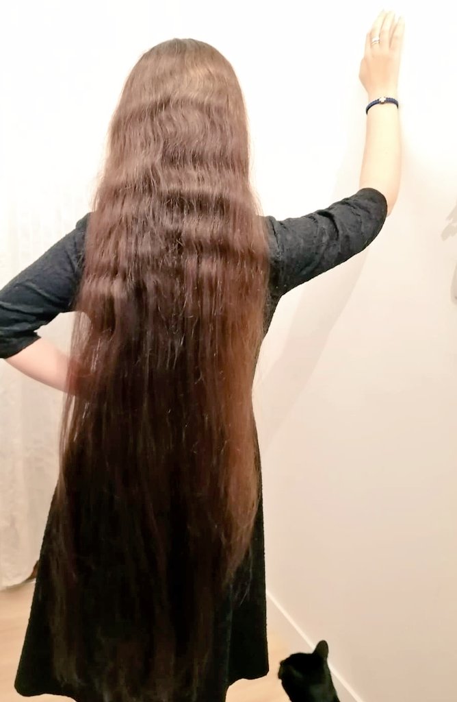 Mammouthesse laineuse tweet media